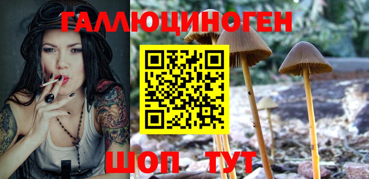 Галлюциногенные грибы GOLDEN TEACHER Армавир