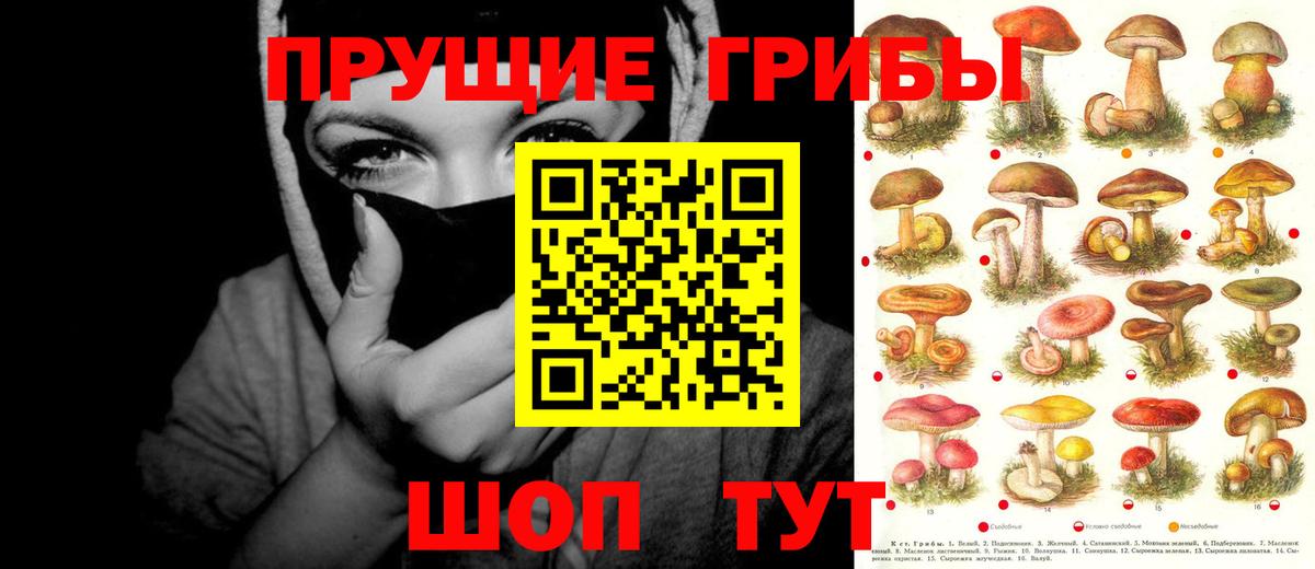Галлюциногенные грибы GOLDEN TEACHER  Вход с VPN  Псилоцибиновые грибы Psilocybe  Армавир 